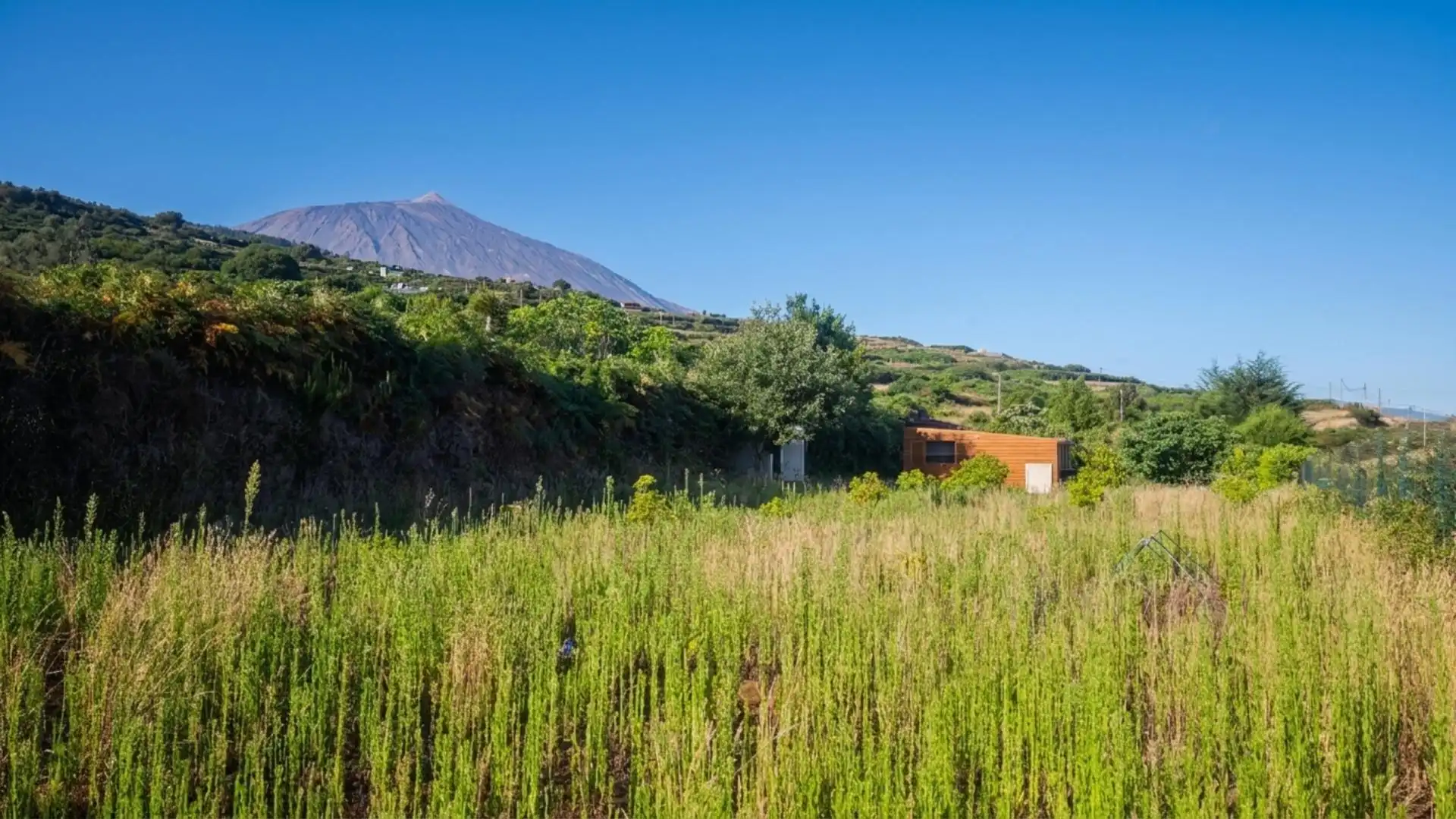 Finca rústica en venda en Los Realejos