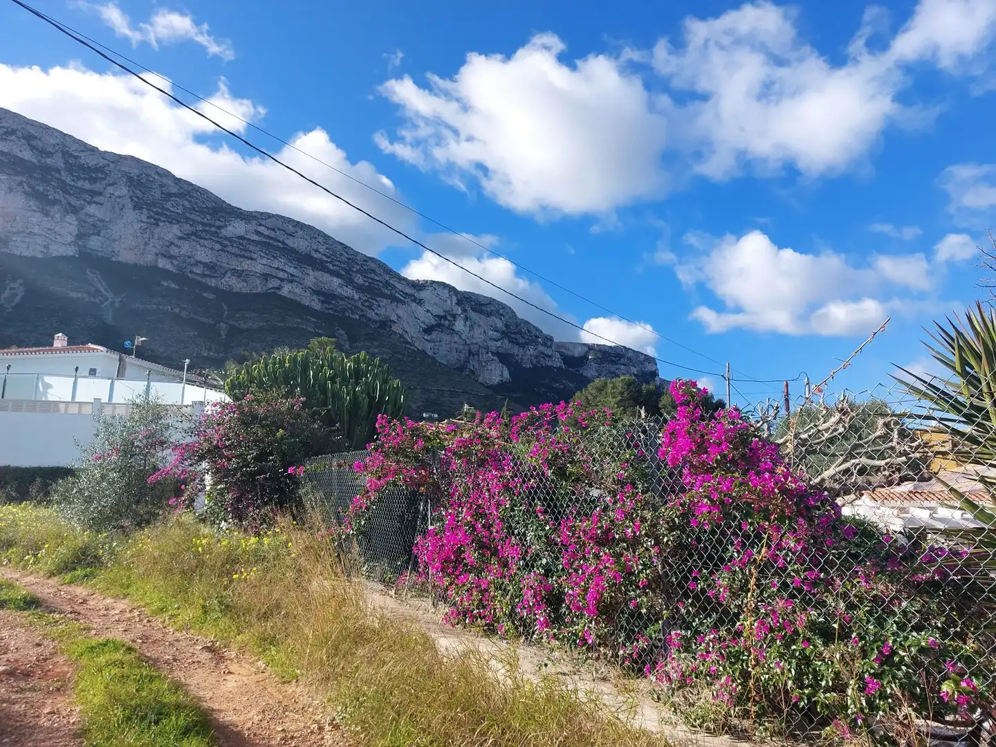 Vista exterior de Residencial en venta en Dénia