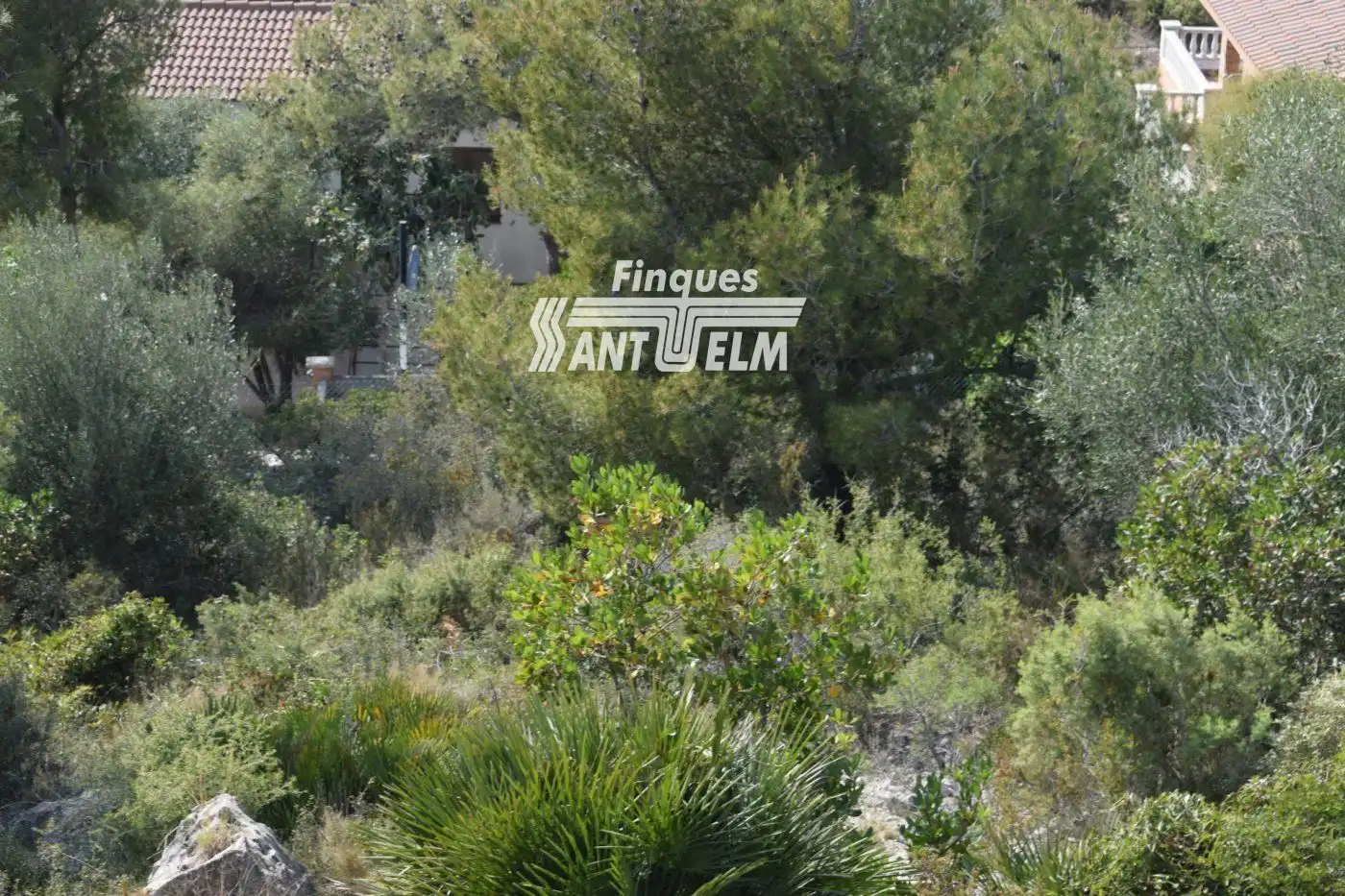 Terreny rústic en venda a SANTA MARIA DE MONTSERRAT, imagen 11
