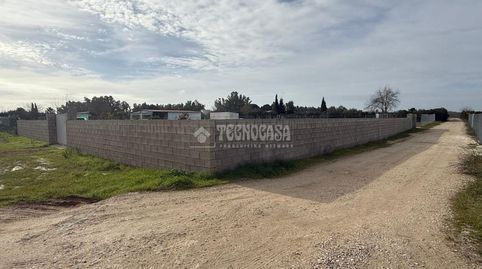 Foto 5 de Terreny en venda a Avenida Arenal Gordo, Arahal, Sevilla