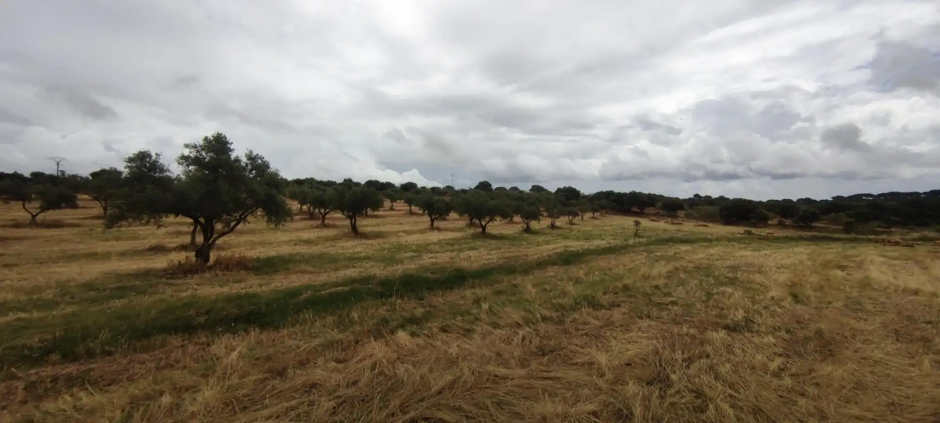 Terreni e lotti in vendita a Garrovillas de Alconétar, imagen 11