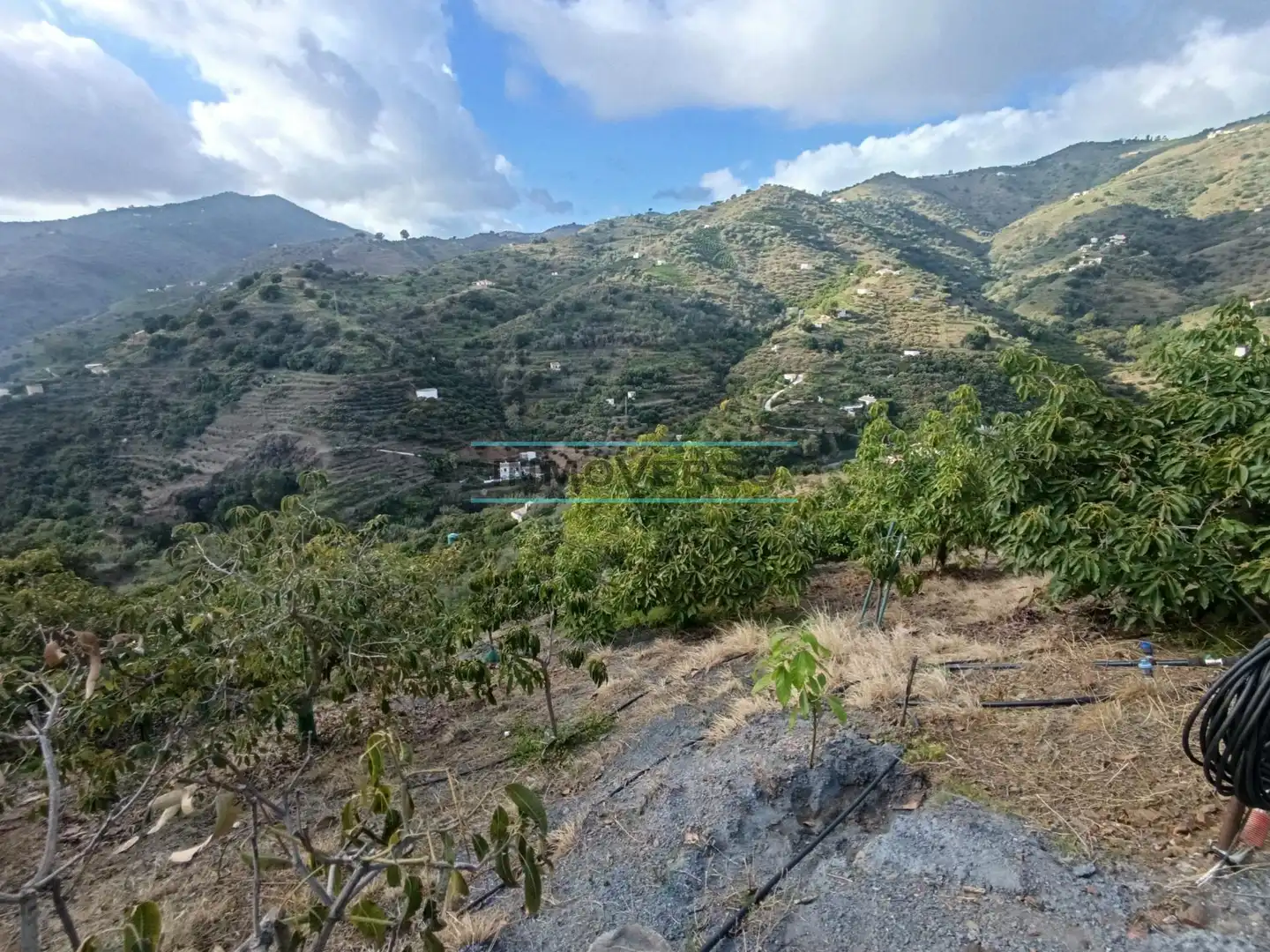 Terreny rústic en venda a Sayalonga, imagen 4