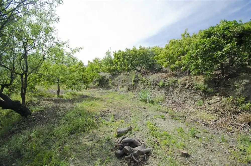 Terreny rústic en venda a Canillas de Albaida, imagen 2