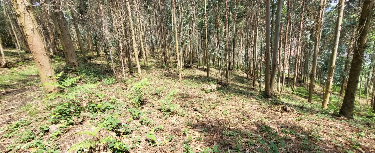 Casa o chalet en venta en Los Corrales de Buelna  con Jardín privado
