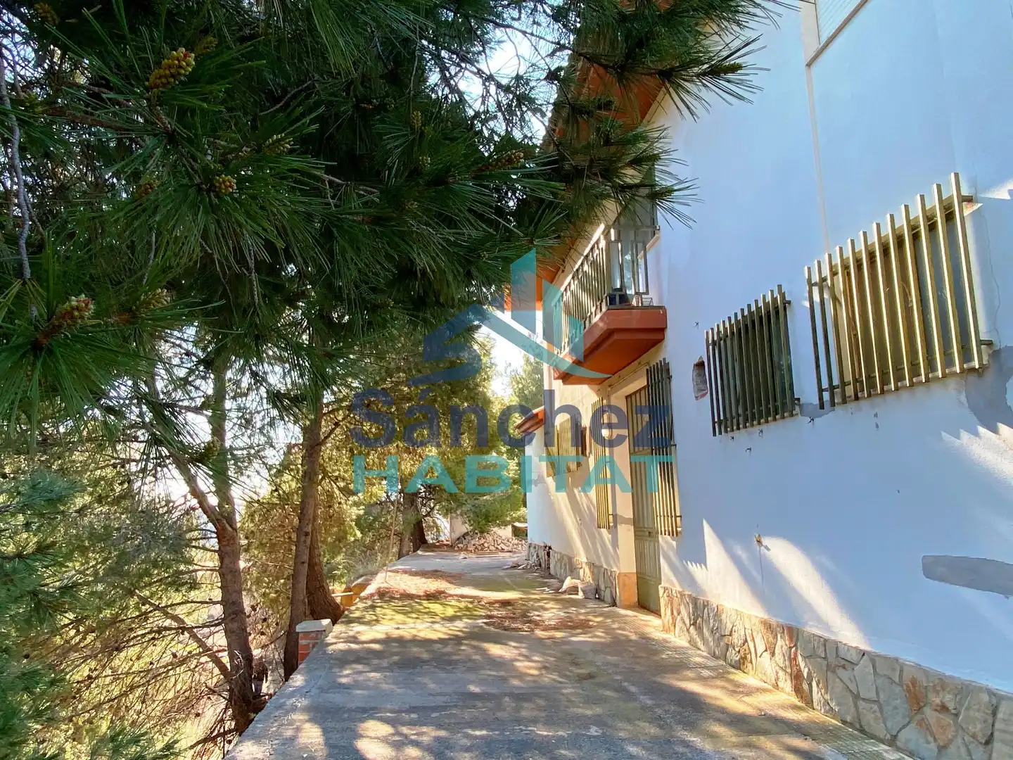 Exterior view of Industrial buildings for sale in Chelva