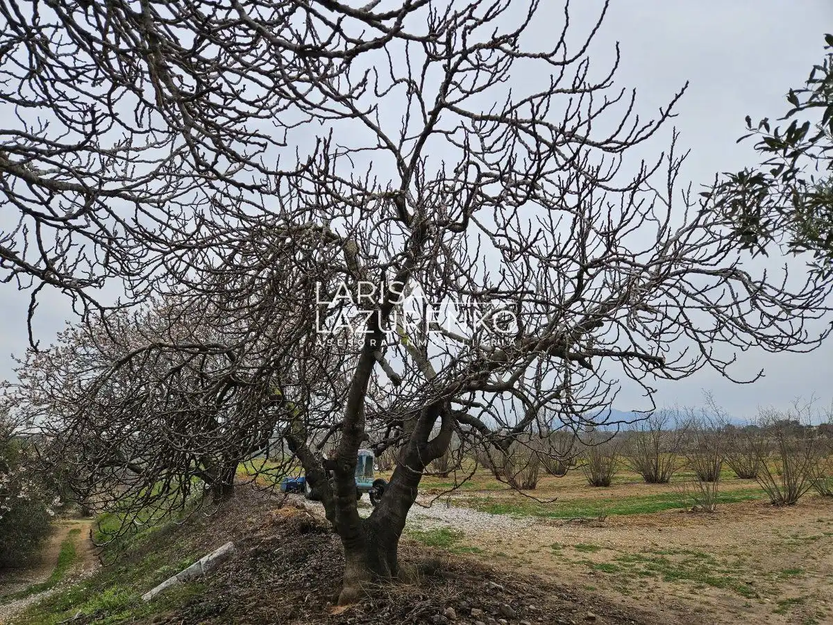 Finca rústica en venda en Riudoms