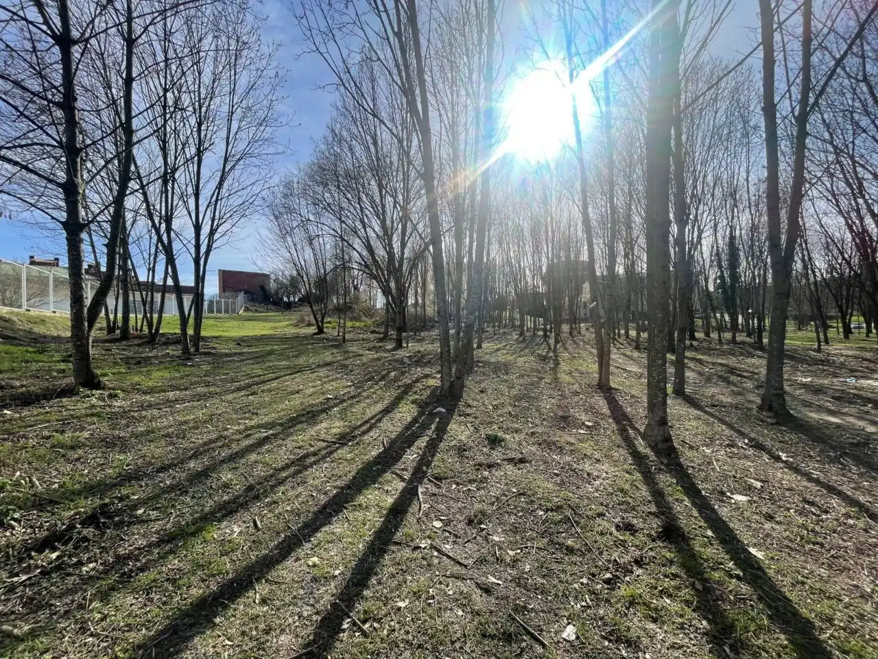 Terreni e lotti in vendita a Avenida Olímpia 15, imagen 14
