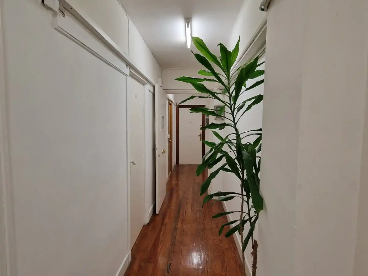Büro zur Miete in Gros, imagen 6