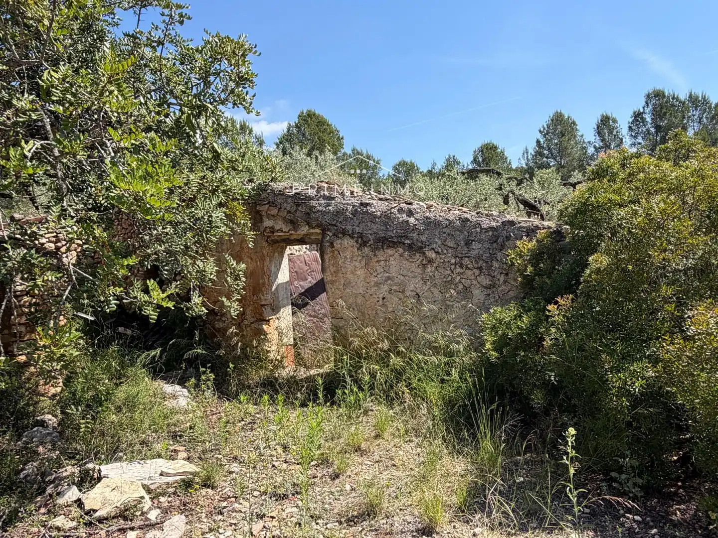 Terreno rústico en venta en L'Ametlla de Mar pueblo, imagen 17