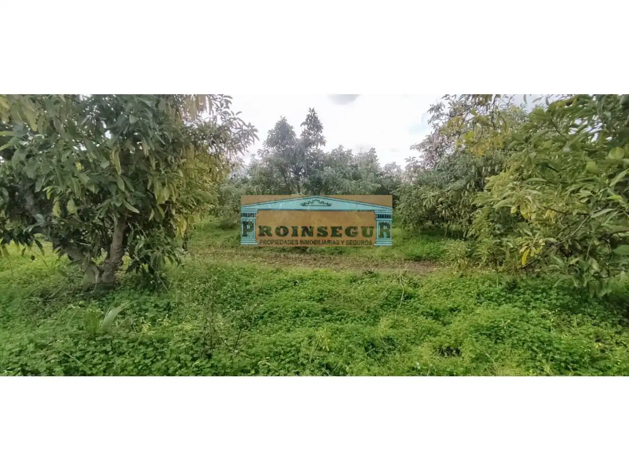 Rural land for sale in Camino Dehesa, imagen 2