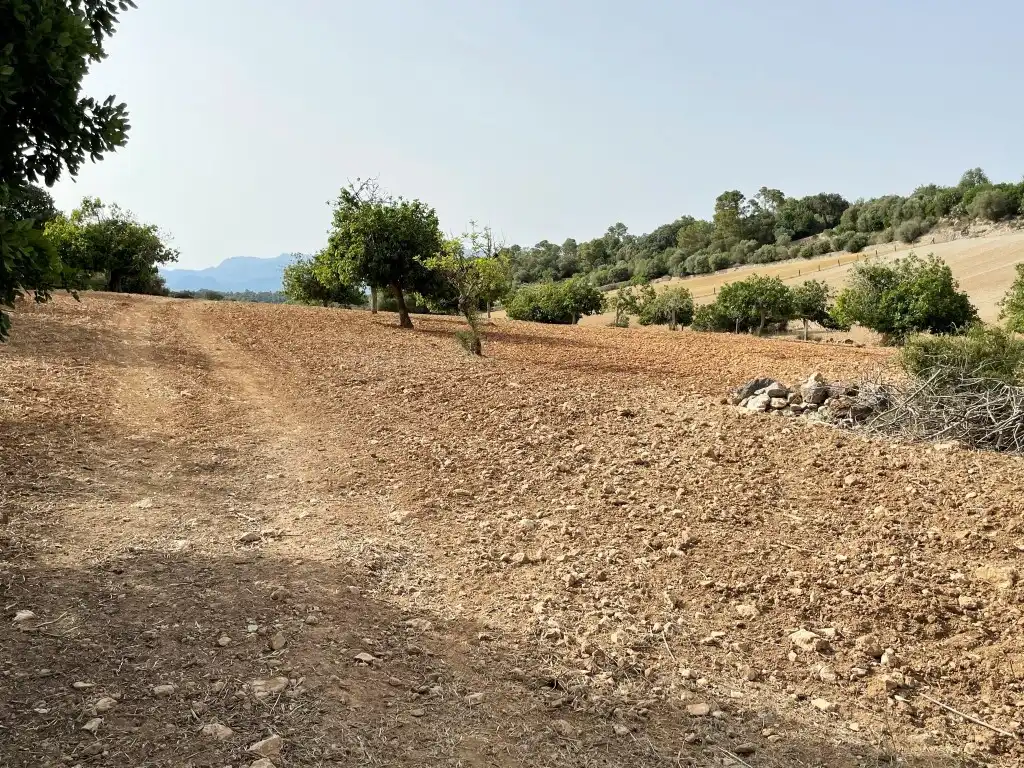 Rural land for sale in Sineu, imagen 5