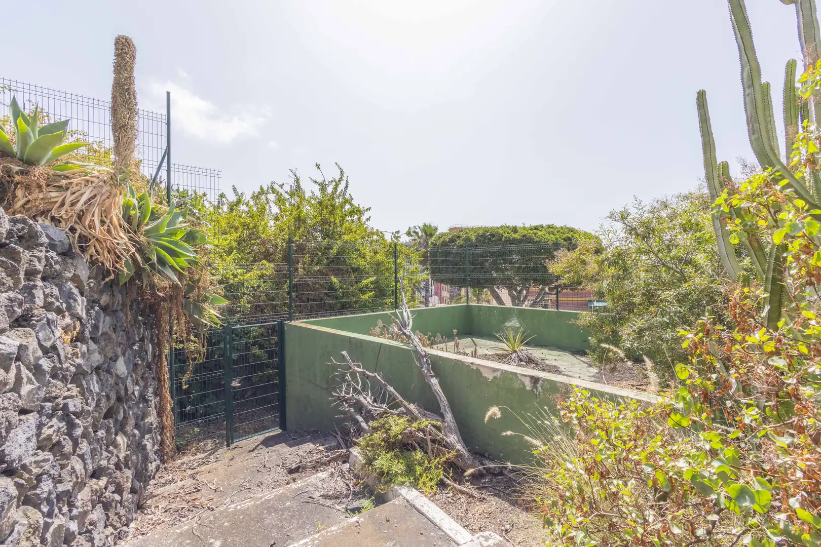 Jardín de Casa o chalet en venta en Puerto de la Cruz con Jardín privado y Terraza