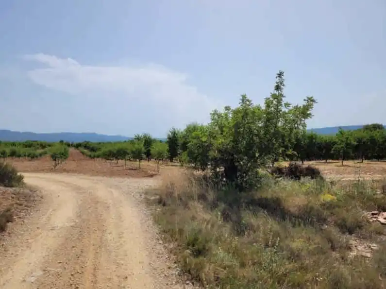 Rural land for sale in Partida de Viñamalata, imagen 6