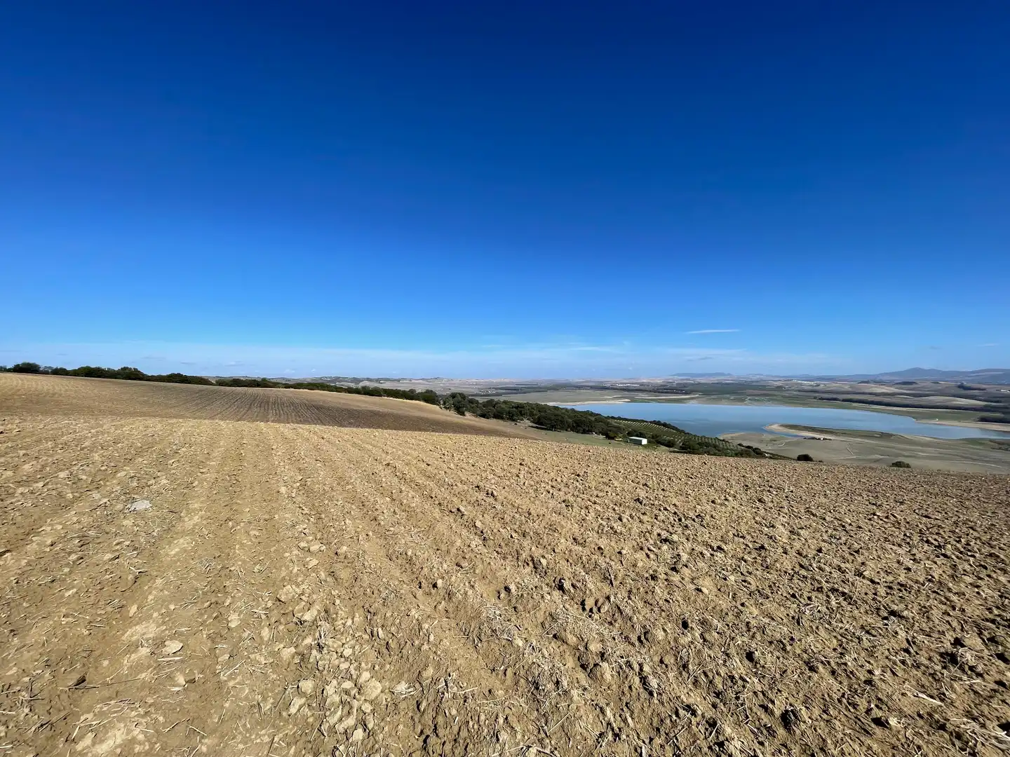 Terreno rustico in vendita a Arcos de la Frontera, imagen 4