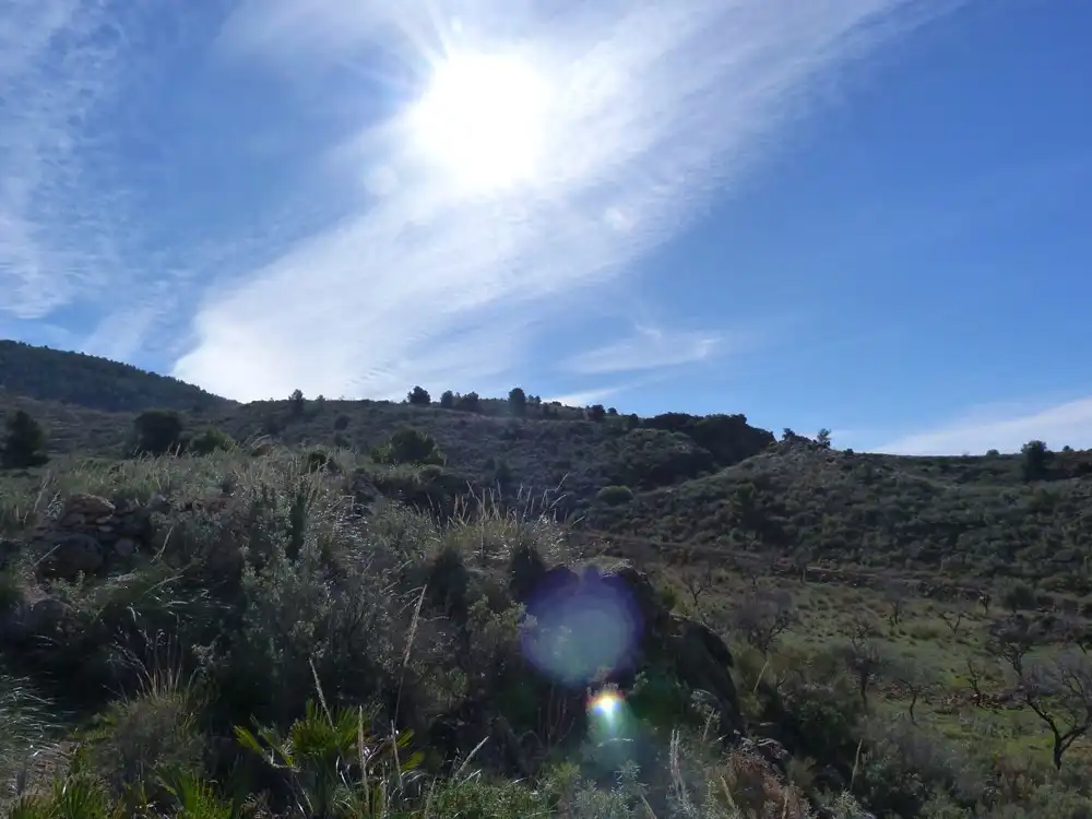 Terrenys i solars en venda a Vélez de Benaudalla, imagen 4