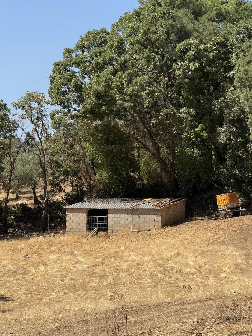 Vista exterior de Terreno en venta en Berzocana