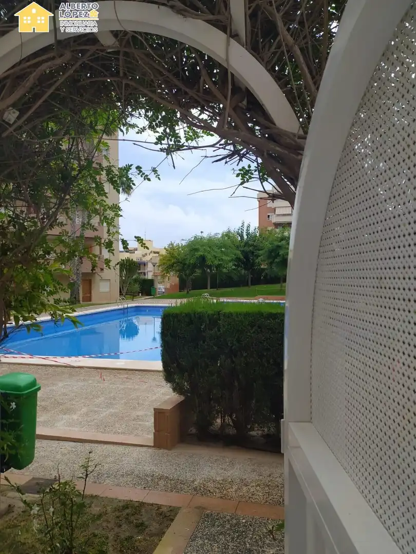 Piscina de Planta baixa de lloguer en Elche / Elx amb Aire condicionat, Terrassa i Moblat
