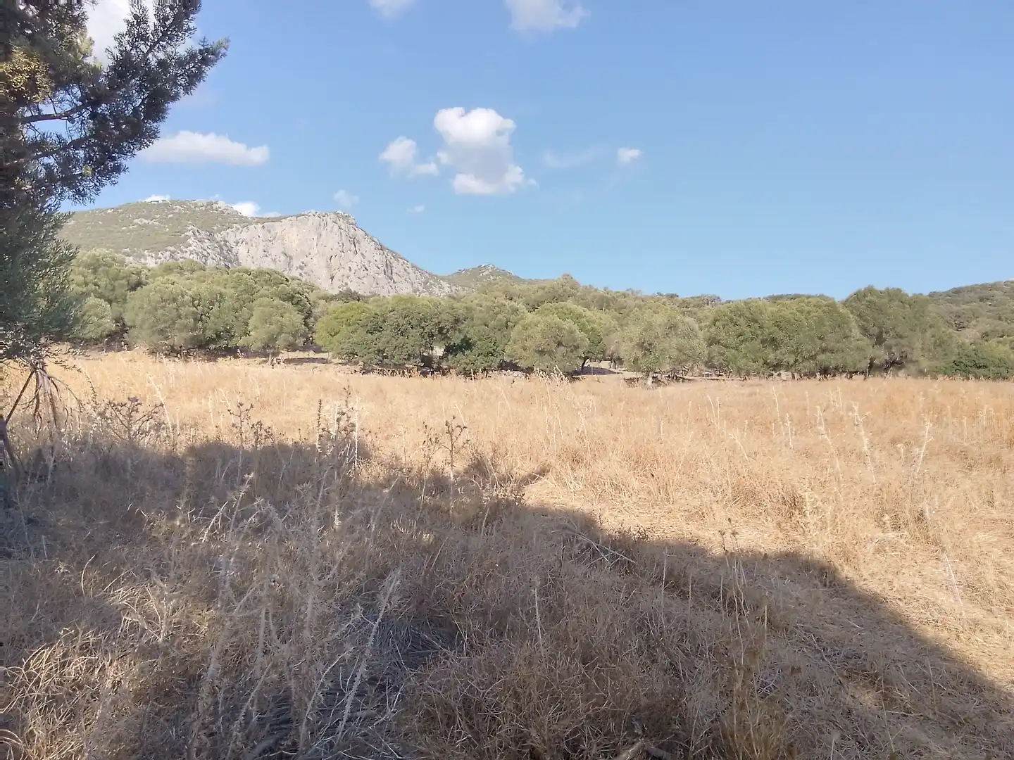 Terreni e lotti in vendita a Ubrique, imagen 17