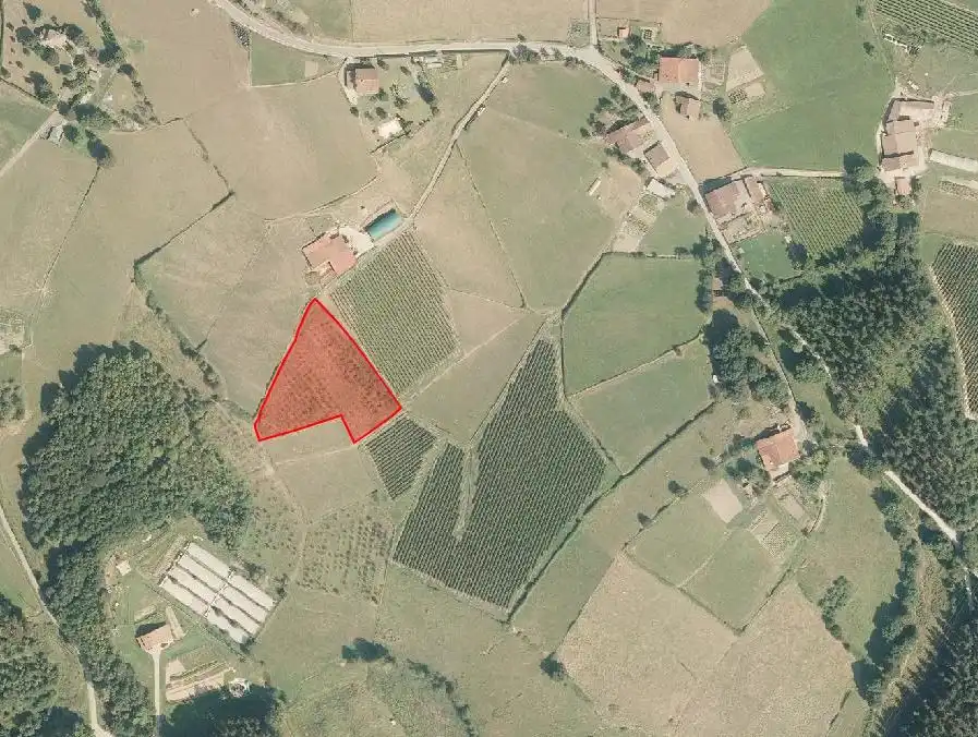 Terreno rustico in vendita a Abadiño, imagen 3