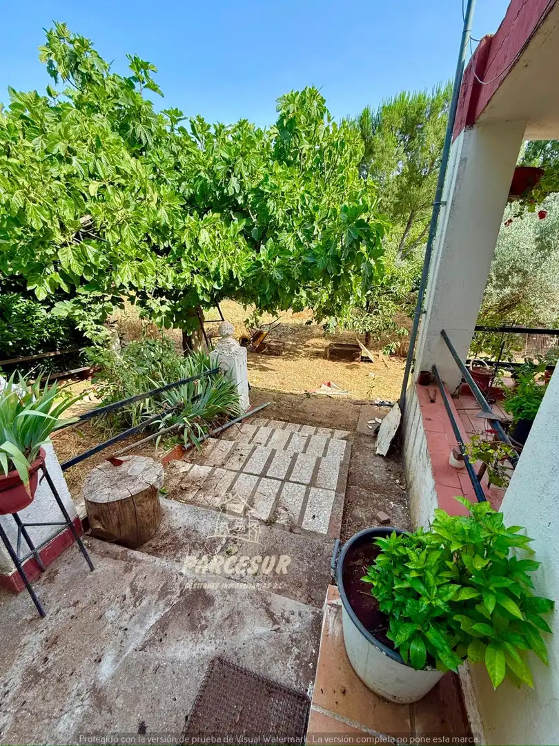 Jardí de Casa o xalet en venda en Córdoba amb Traster i Piscina