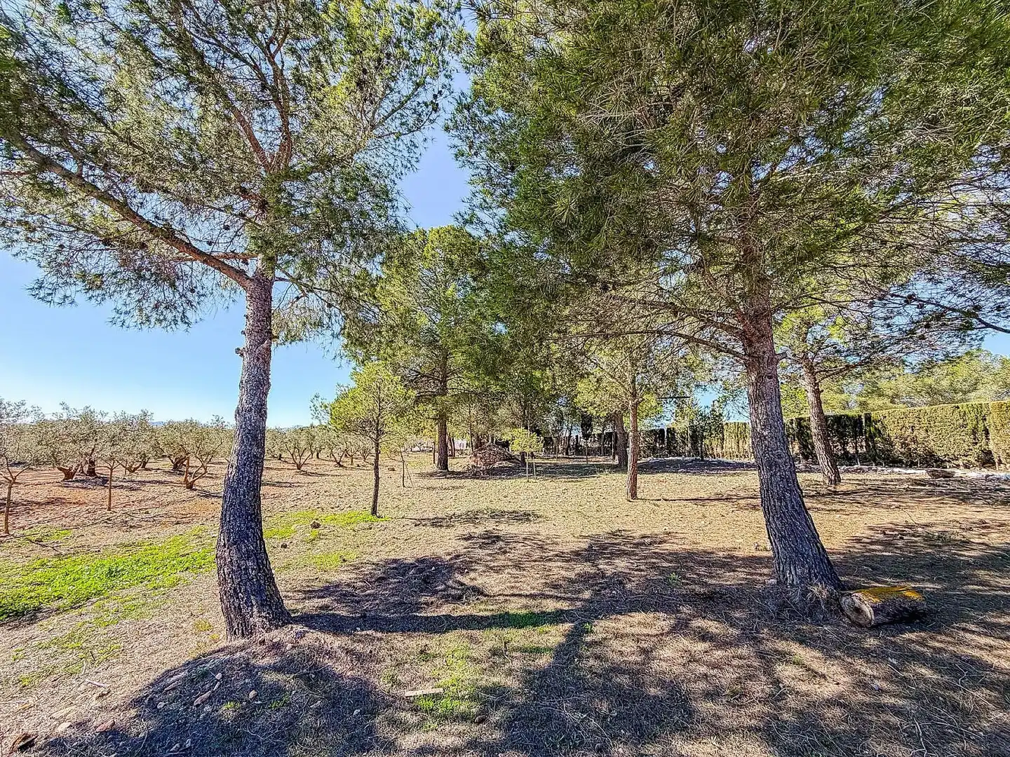 Casa rústica en venta en El Pinós / Pinoso, imagen 50