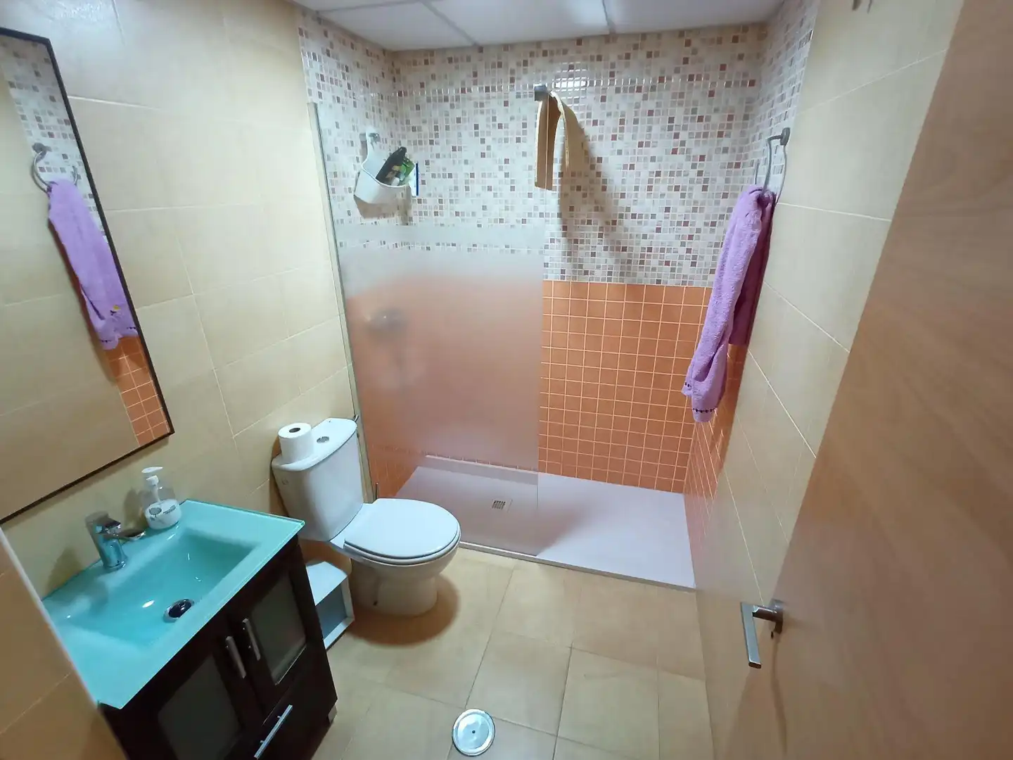 Baño de Ático en venta en El Ejido