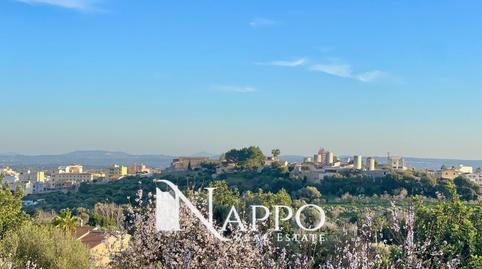 Photo 2 of House or chalet for sale in 9, Centro, Inca