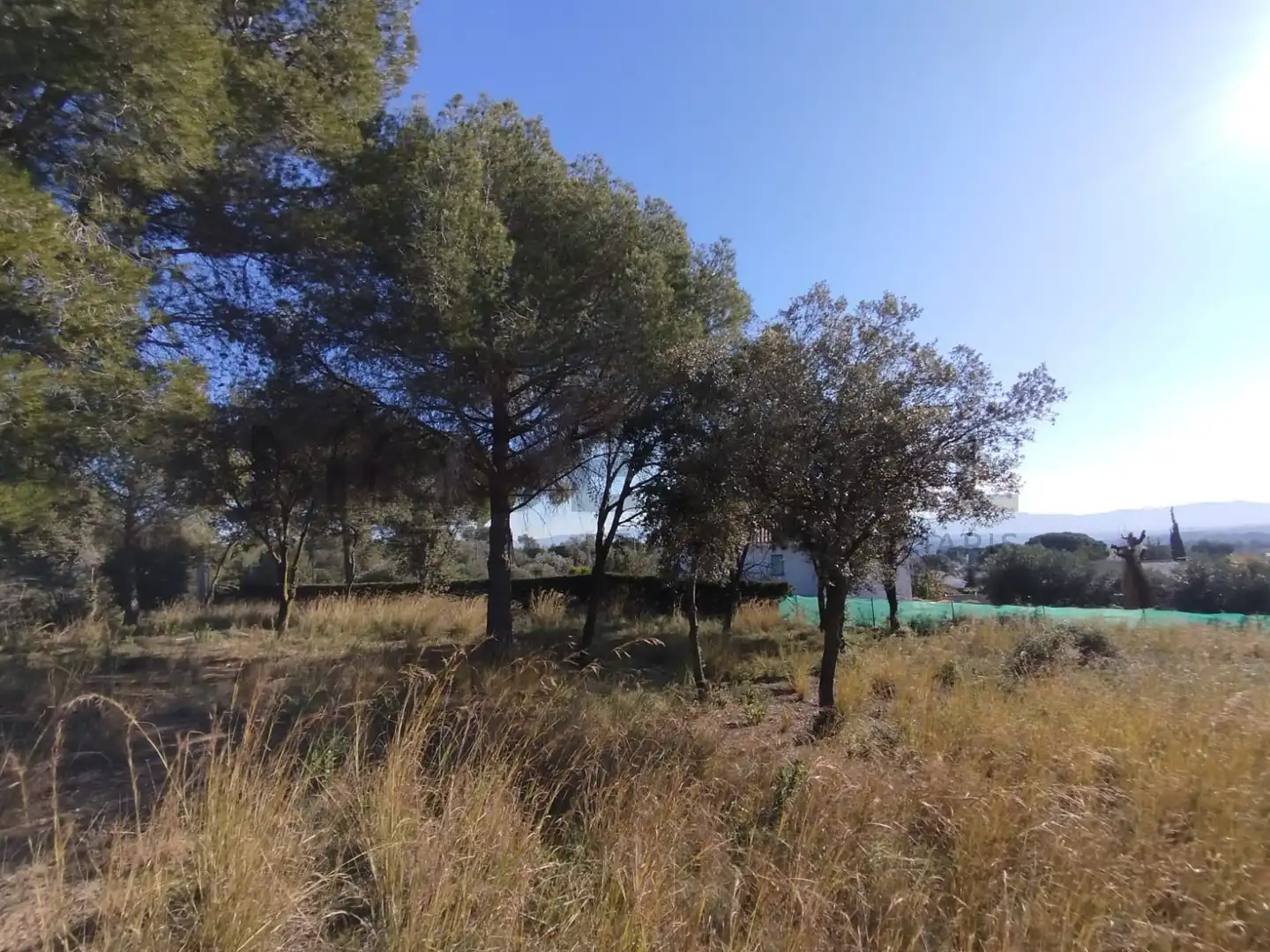 Terrenys i solars en venda a VILA DE VALL, imagen 9