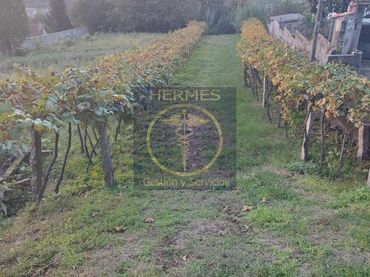 Terrenys i solars en venda a Redondela