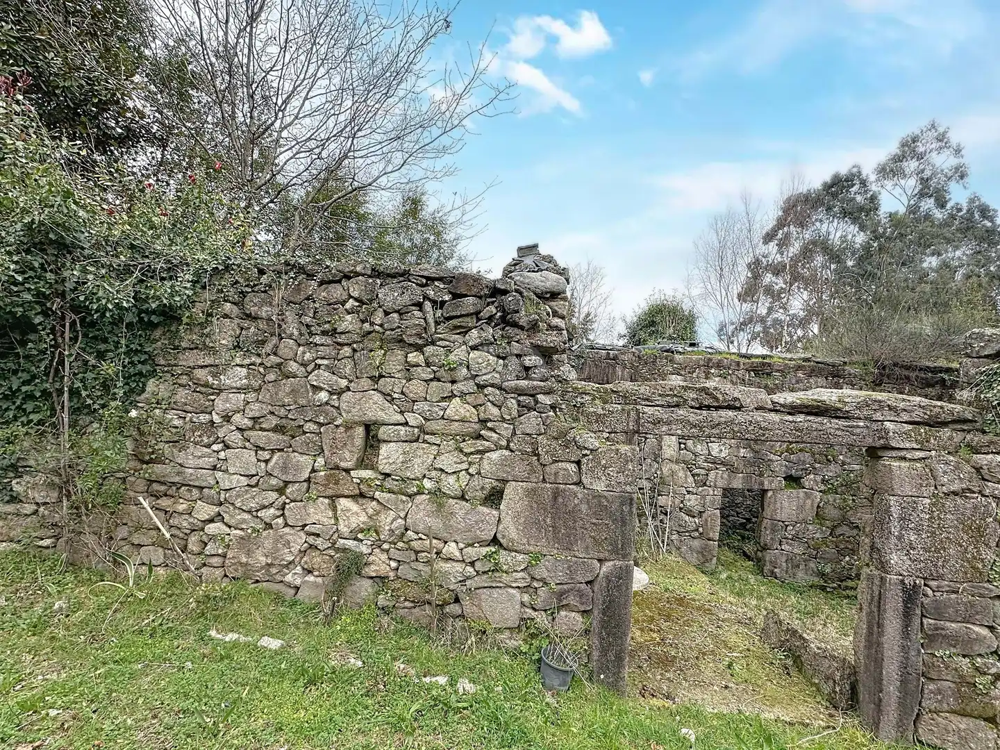Vista exterior de Casa o chalet en venta en Campo Lameiro
