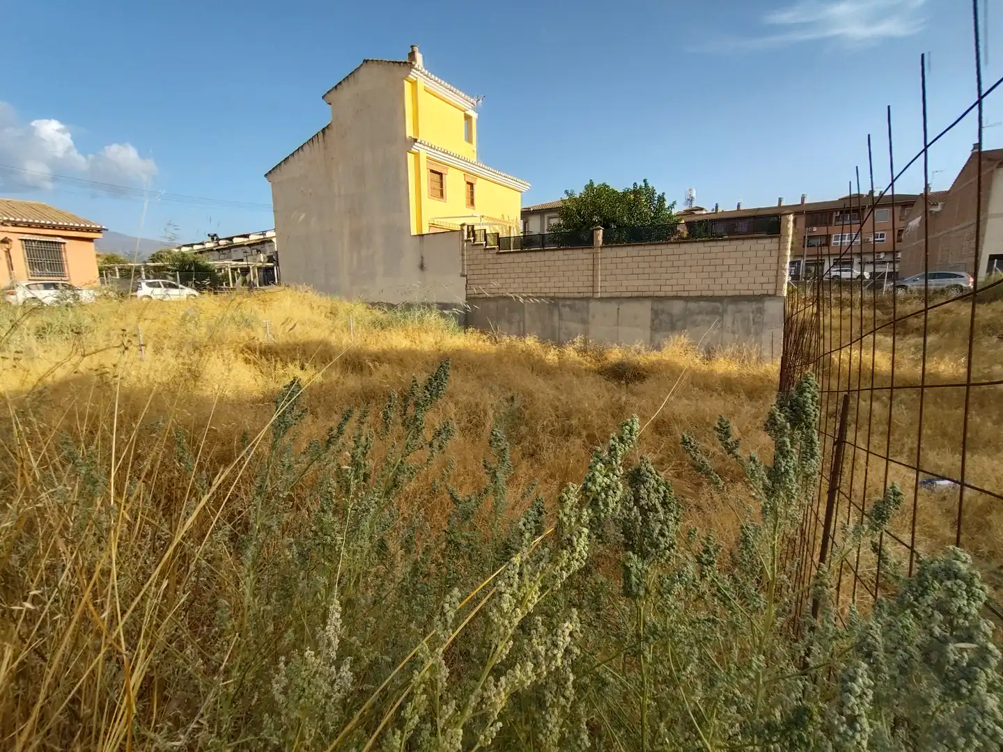 Terreni e lotti in vendita a Calle Mimbre, imagen 2