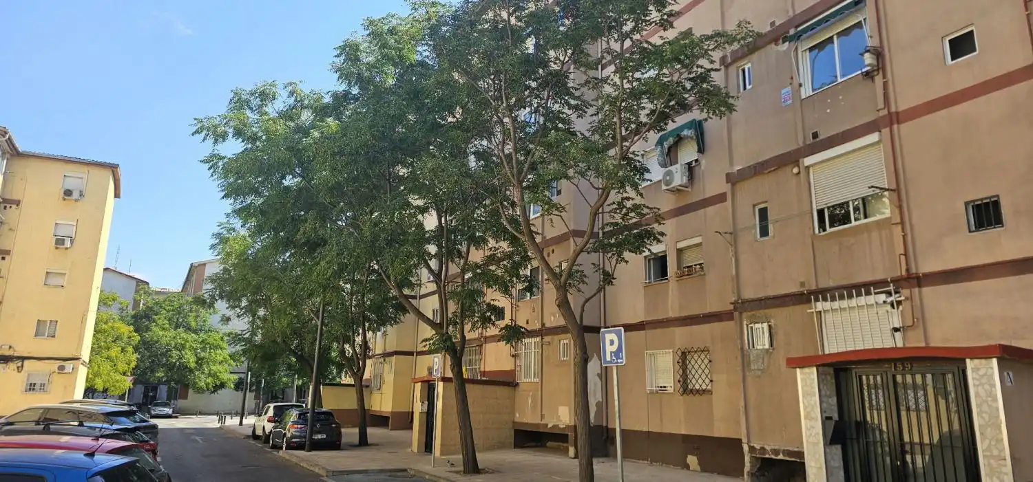 Appartement à vendre à GODELLA 157, imagen 61