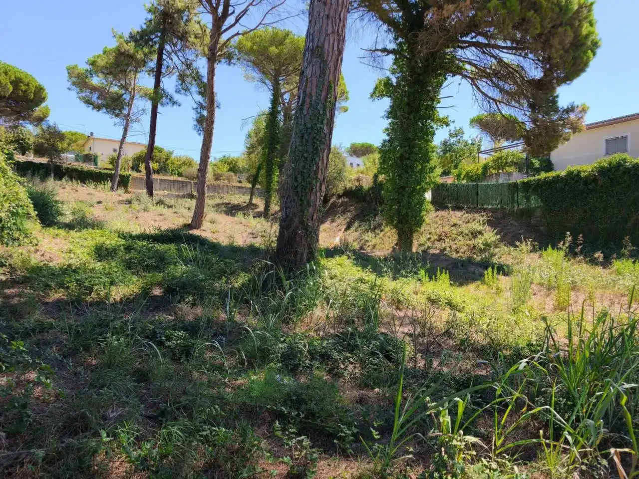 Terreny residencial en venda a Montbarbat, imagen 4