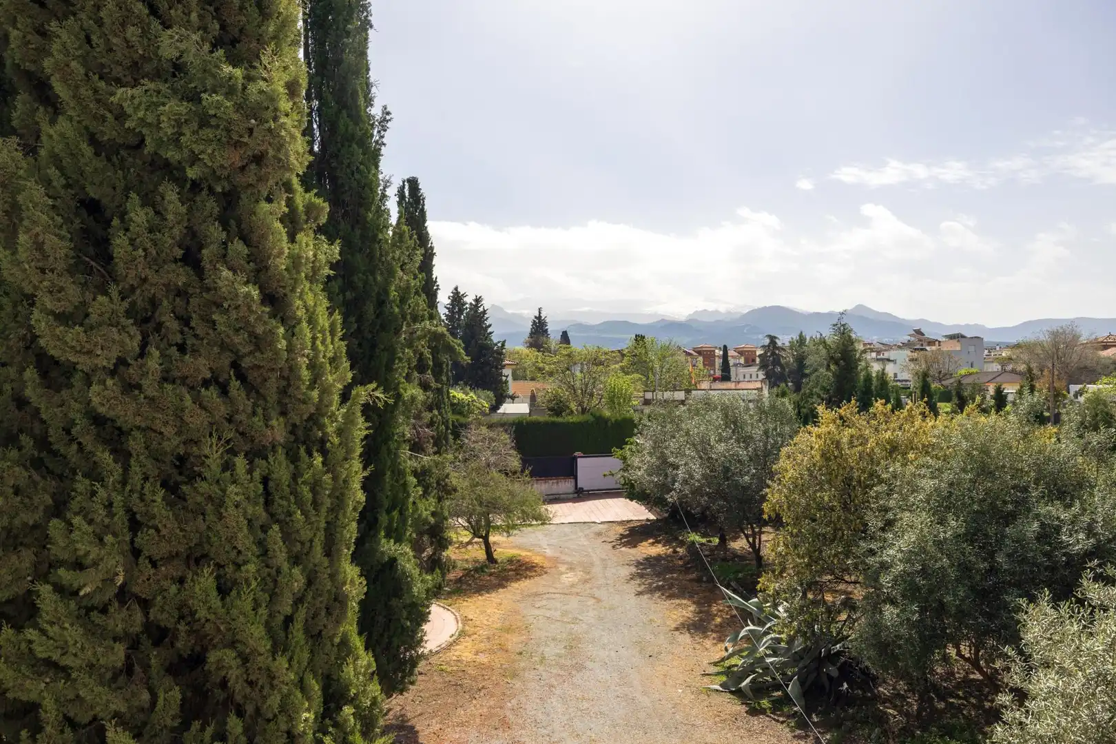 Chalet con piscina en venta en Calle Camino del Almendral 4, imagen 64