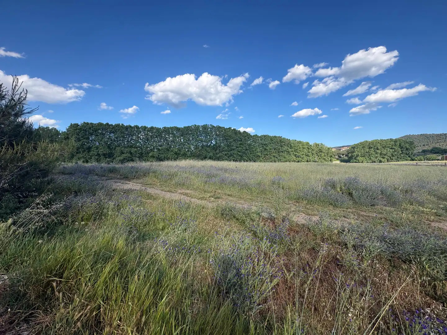 Rural land for sale in Llinars del Vallès, imagen 5