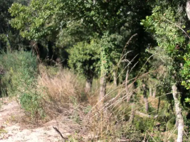Residencial en venda en Vidreres