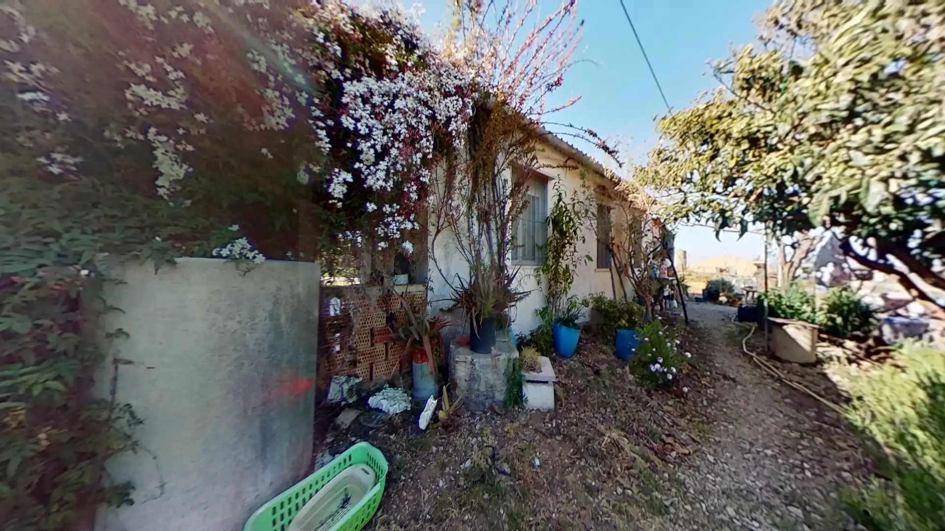 Terreny rústic en venda a Ulldecona, imagen 5