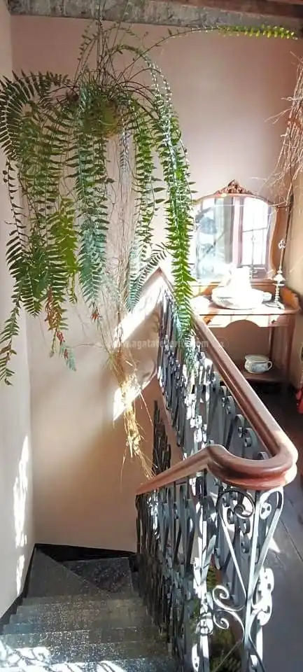 Casa con jardín en venta en Buenavista del Norte, imagen 39