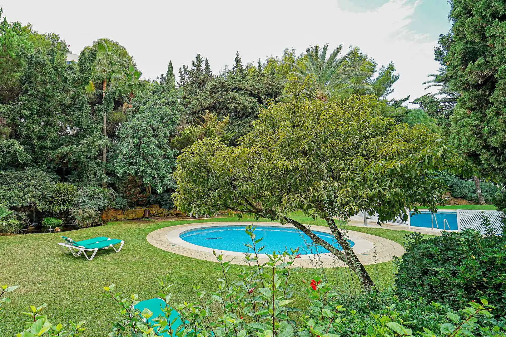 Mini appartamento con piscina in vendita a ROY BOSTON 1, imagen 20