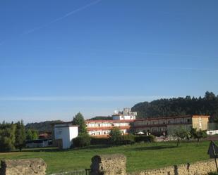 Exterior view of Flat for sale in Ribadedeva