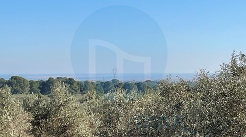 Foto 3 de Finca rústica en venta en Camarles, Tarragona