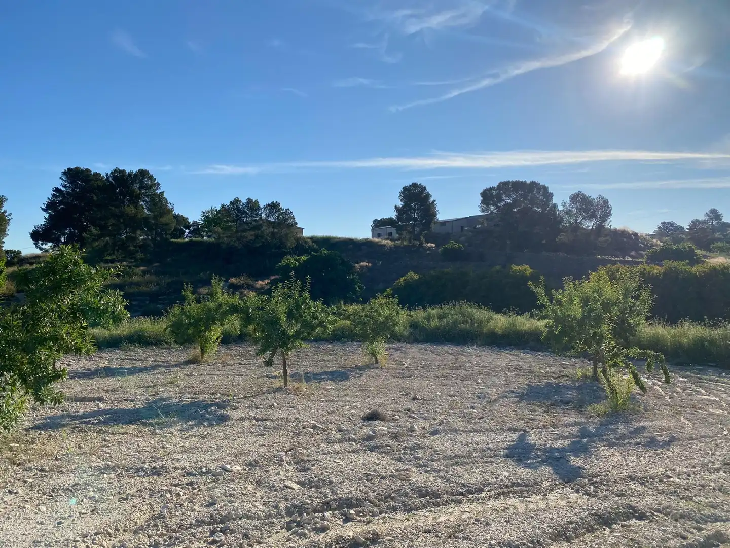 Villa à vendre à Moratalla, imagen 19