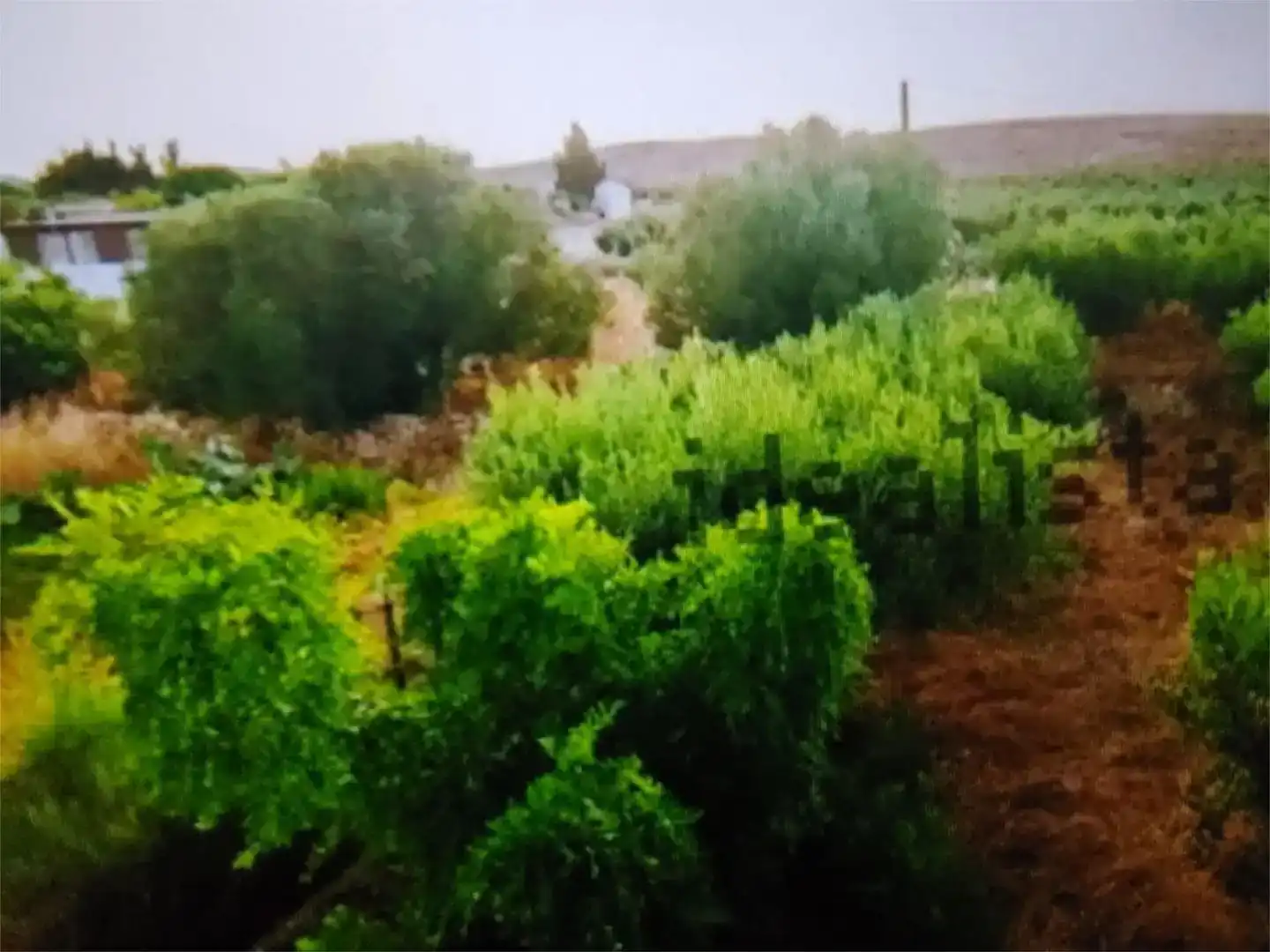 Piso en venta en Níjar