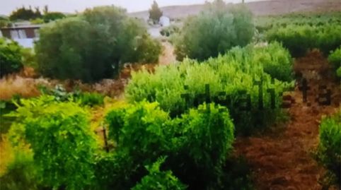 Foto 2 de Pis en venda a Diseminado Fernan Perez, 35n, Las Negras, Níjar