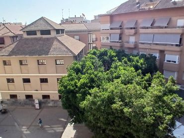 Flat with lift to rent in Paseo FOTOGRAFO VERDU