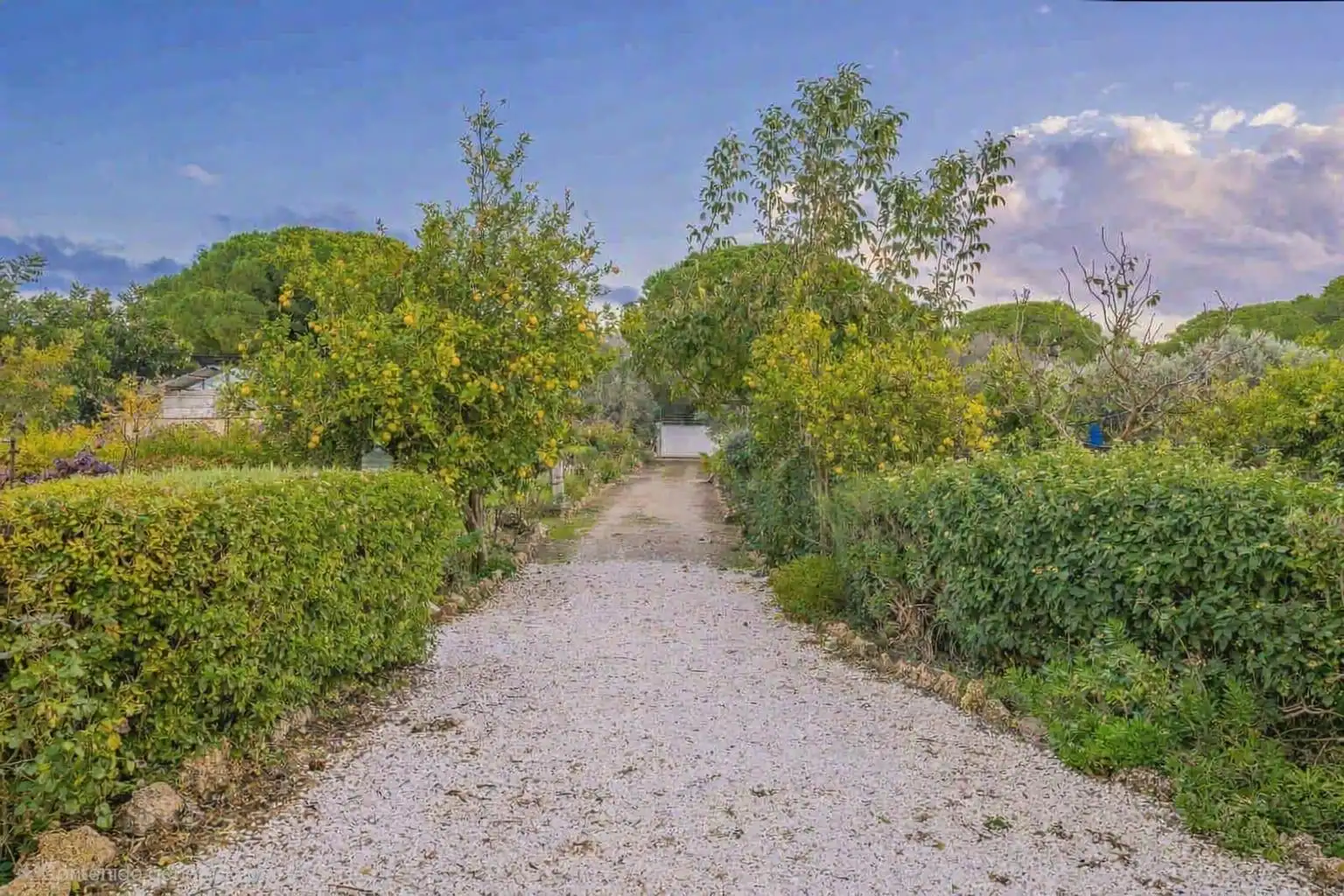 Detached house with pool for sale in Centro, imagen 11