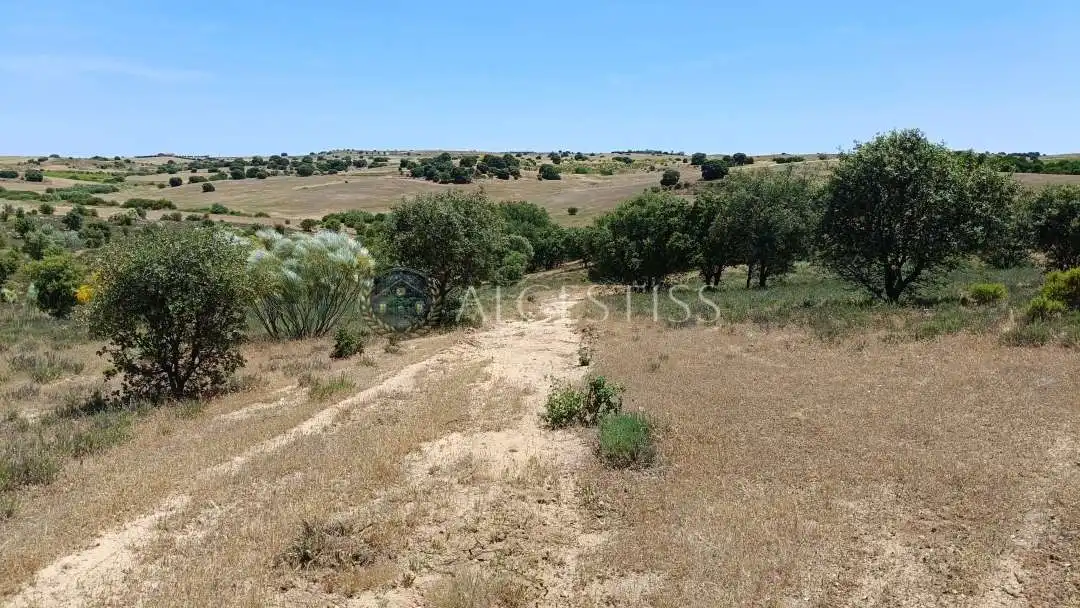 Terreno en venta en La Torre de Esteban Hambrán