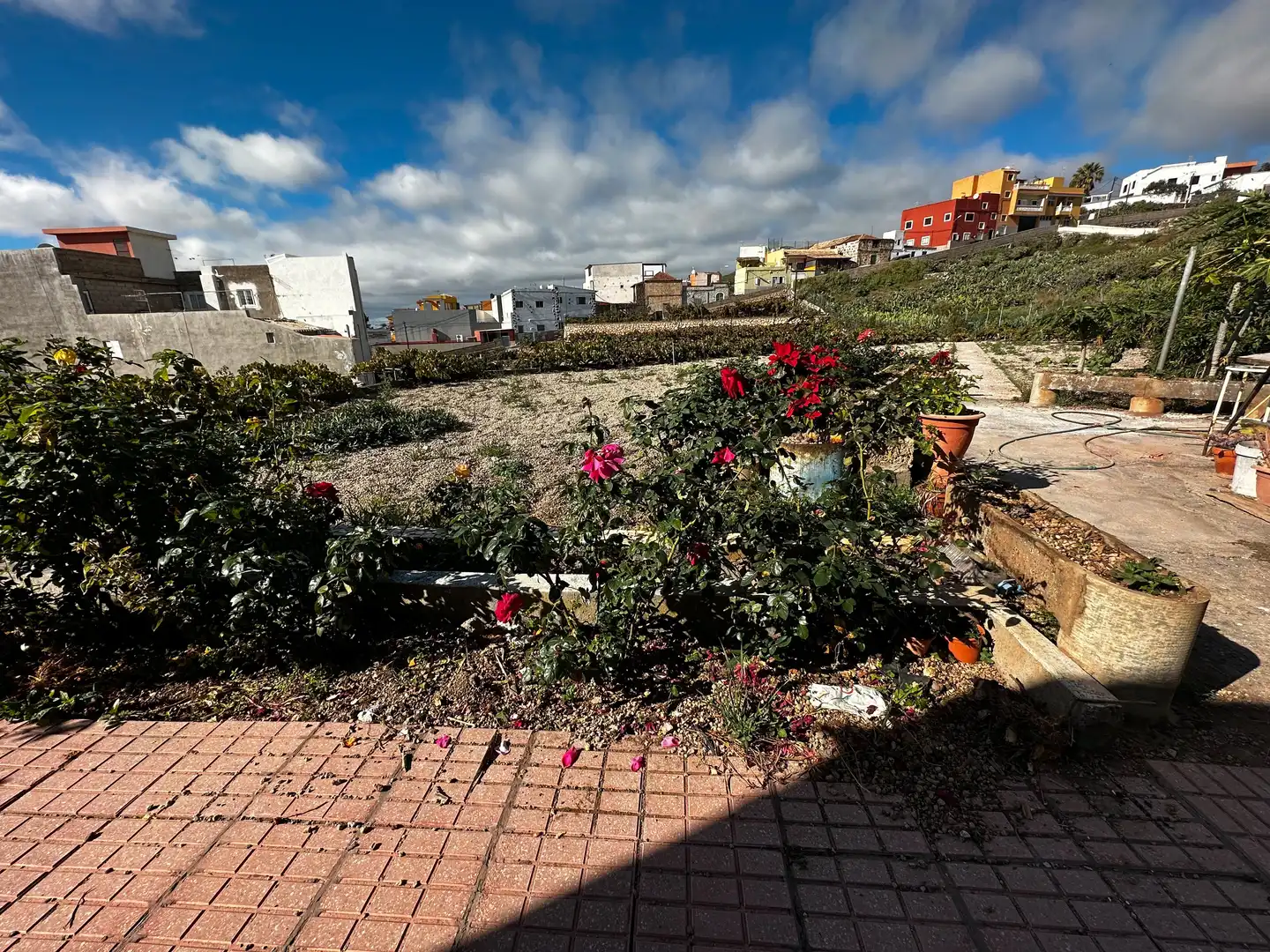 Terreny rústic en venda a Calle Virgen del Pino, imagen 17