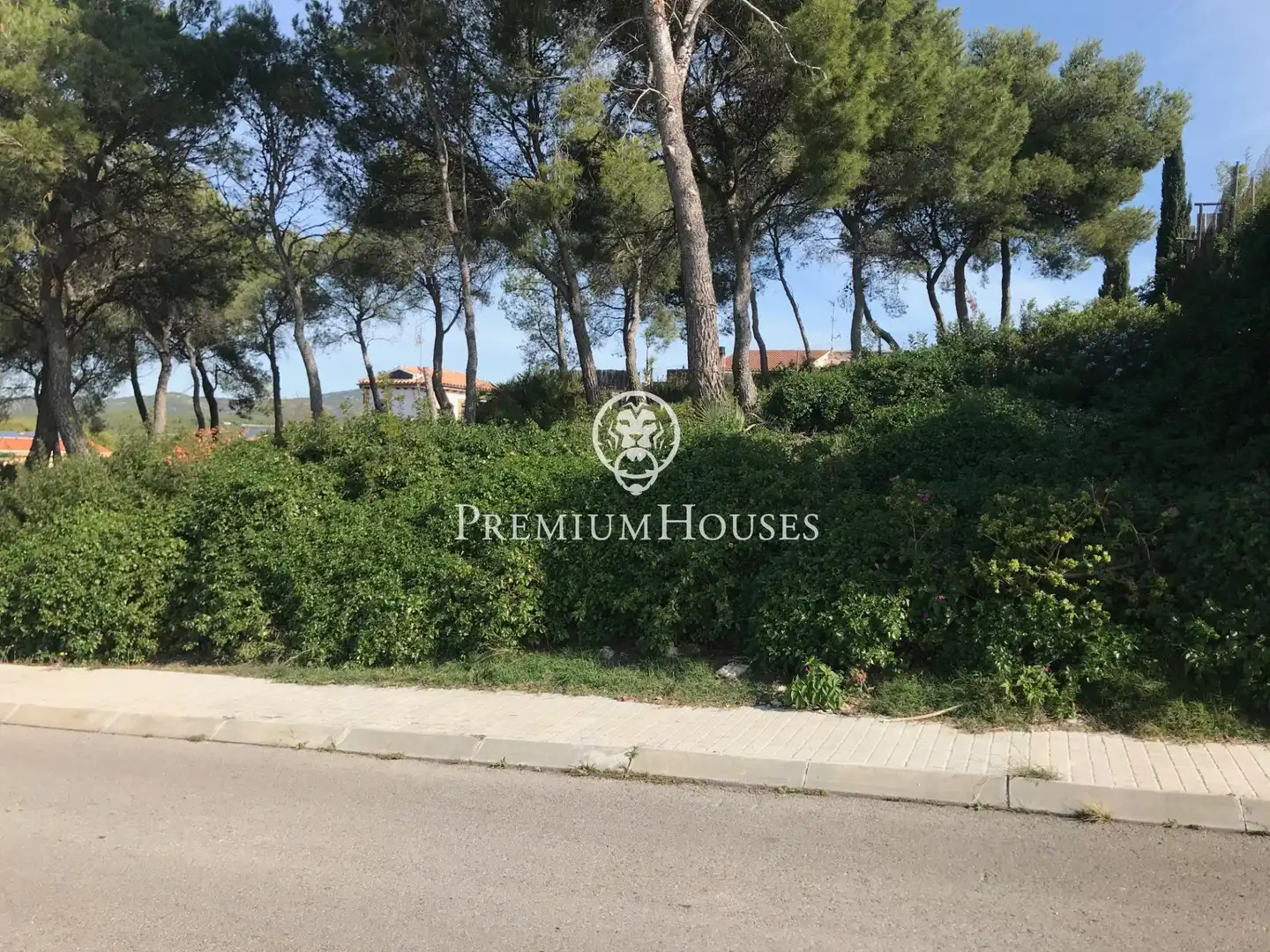 Residential land for sale in Calle La Rosella, imagen 11
