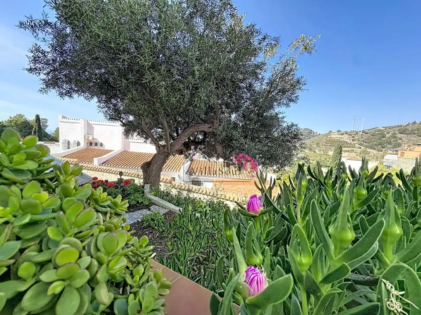 Jardí de Casa o xalet en venda en Almuñécar amb Aire condicionat, Piscina i Balcó